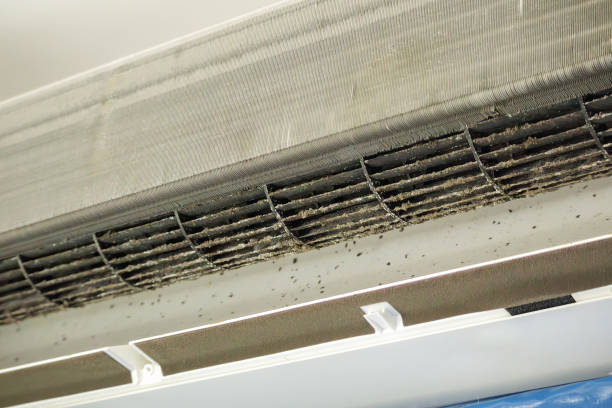 Best Ductwork Cleaning Services  in Wappingers Falls, NY